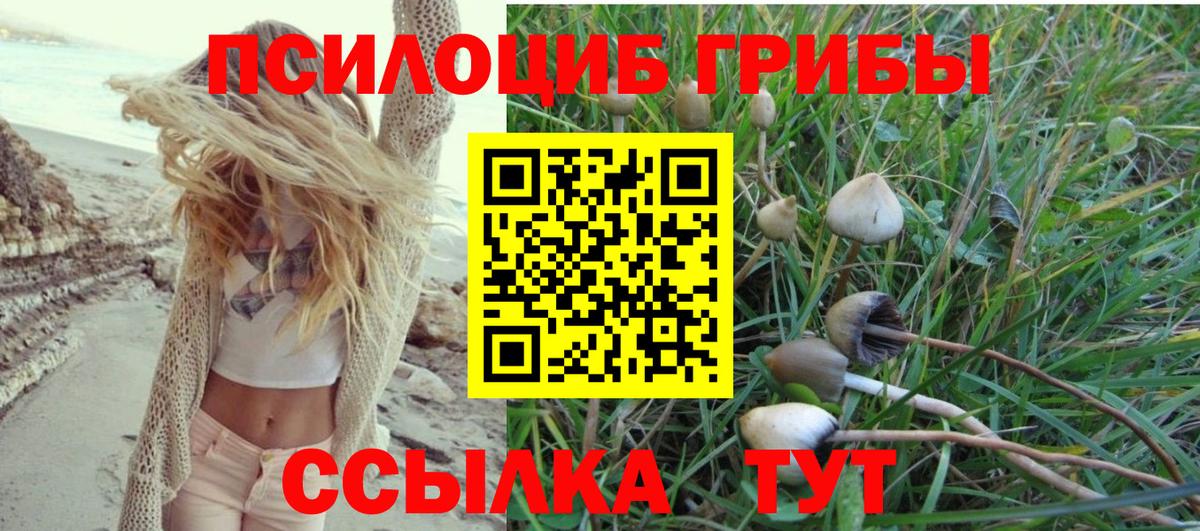 Елец  Псилоцибиновые грибы мицелий  цена наркотик  Вход с VPN  Псилоцибиновые грибы мухоморы 
